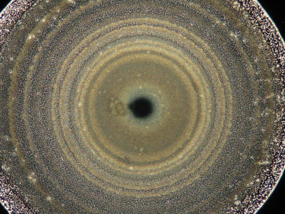 Concentric rings of granular material and subtle color variations form a circular pattern in the foreground, with a dark, irregular center, against a speckled, out-of-focus background.