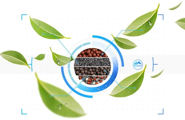 Das Bild zeigt einen zentralen ovalen Behälter, der mit verschiedenen Arten von Kermikkugeln gefüllt ist, umgeben von grünen Blättern mit Wassertropfen, die eine natürliche und frische visuelle Komposition bilden.