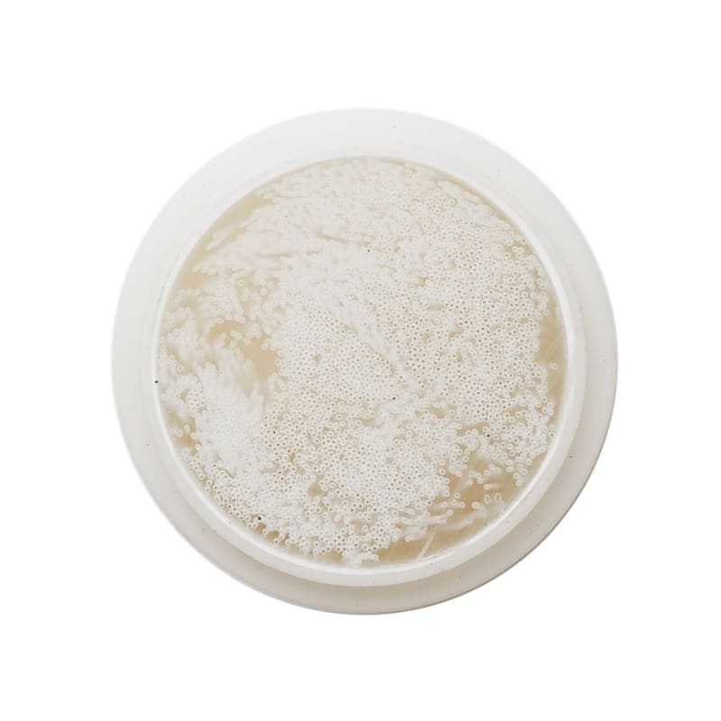 NOALU Ultrafiltration Wechselkartusche - 3. kép